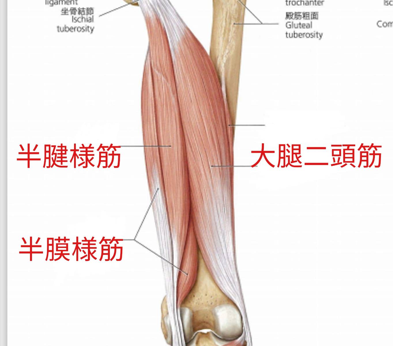 具体的なトレーニング法