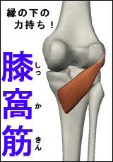 7. お問い合わせへの誘導